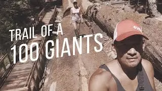 Trail Of A 100 Giants