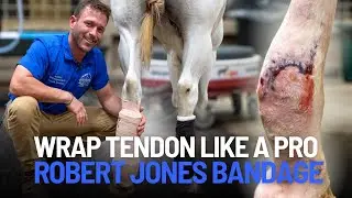 How to Apply a Modified Robert Jones Bandage on a Horse (Step-by-Step Tutorial)