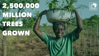 Наше влияние в 2022/2023 годах | Tree Aid