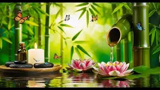 Bamboo Reflections &ndash; Relaxing Spa Music with Flowing Water & Lotus Flowers