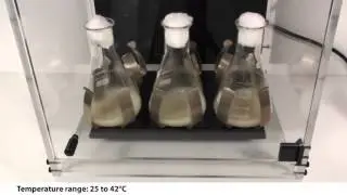 Biosan   ES 20 Environmental Shaker Incubator