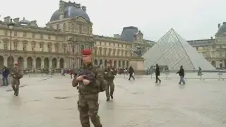 Paris Suburb Ram attack: Is Operation Sentinelle working?