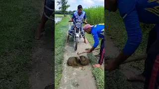 Middle of the Road News #47