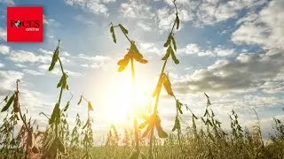 Deutscher Wetterdienst zieht Bilanz: Schon wieder ein Rekordsommer