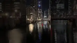 Iconic Chicago Skyline #chicago #downtown #skyline