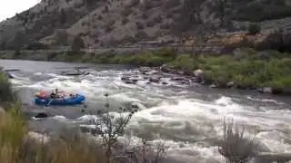 Upper Colorado River - Rodeo Rapids, Mark Stewart on the oars