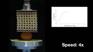 Using buckling-driven soft mechanical metamaterials as force switch, TUDelft, Prof. Amir. A. Zadpoor