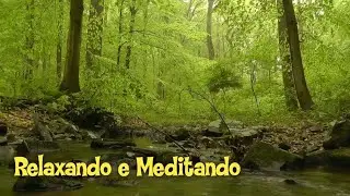 RELAXANDO E MEDITANDO NA NATUREZA.