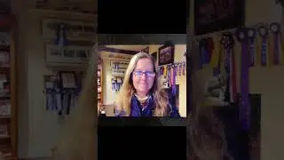 Full Interview with Miss Stephanie Hayes about Working Equitation Part 