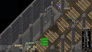 UO Outlands - Necro Pet Build POV in SSC
