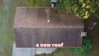 Kyler finds lichen on a roof