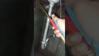 cockroach,🪳 treatment🪳👩&zwj;🔬 #cockroach treatment#cockroach killer treatment #cockroach