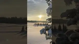 Утро туманное - ПроРоманс (А. Чернов, С. Гуделев, О. Егорова) #romance  #romantic  #music #романс