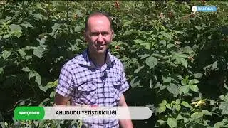 BAHÇEDEN | AHUDUDU YETİŞTİRİCİLİĞİ
