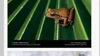 Wordpress gallery fullsize image trick - Fulldhamaal.com