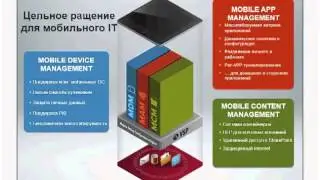 MobileIron First Meeting (RUS)