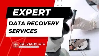 Meet SalvageData: Your Trusted Partner in Expert Data Recovery