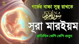 সূরা মারইয়ম তিলাওয়াত গর্ভবস্থায় প্রতিদিন শুনুন | Surah Maryam Tilawat | quran tilawat | Alaa Aqel 