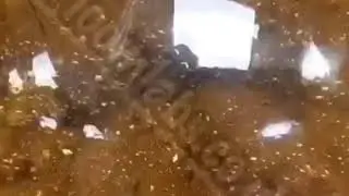 Decarb & Terp Removal