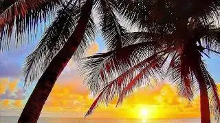 GALUPASIFIKA 2022 // Finemui …@@ofa atu @@