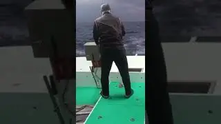 throwing hook Taiwan fishing boat operation catch king mackerel using artificial bait #fishing