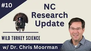 NC research update: Largest private land turkey study | Ep 124: Wild Turkey Science