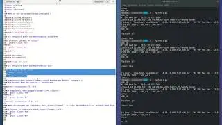 Videoantwort: Python if subprocess (ohne Audio)