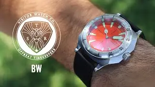 Visitor Duneshore Shallows Review - Bold Diver