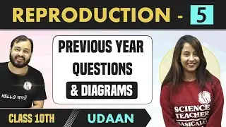 How do Organisms Reproduce? 05 | Previous Year Questions & Diagrams | Class 10 | NCERT | Udaan