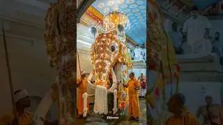 Nuwara Perahera 2025  🐘 #kandy #perahara #buddha #elephant #trending #trendingshorts #nuwara #temple
