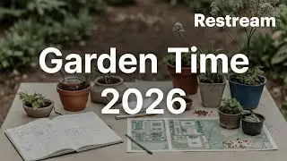 Seeds Galore: Turning Your Dream Garden into a Real Plan!The Planning Magic Grow Big