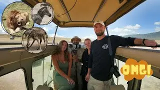 SAFARI I TANZANIA - Bucket list experience