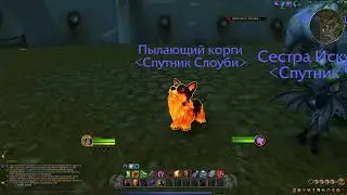 World Of Warcraft Molten Corgi Pet Review