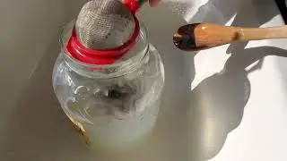 Carrot planting with starch gel