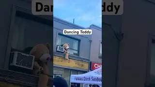 Teddy bear dancing to Mick Jaggar Concert 🤣 #shorts #concerts #funnyvideo