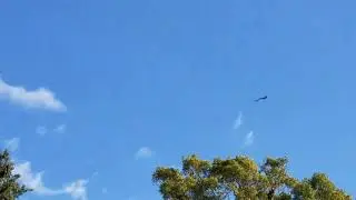 The Perks of living next to the 1st Fighter Wing