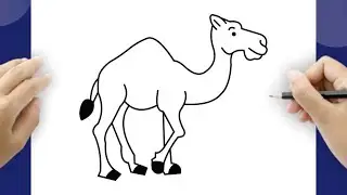 Hur man ritar en kamel - Steg f&ouml;r steg ritning f&ouml;r nyb&ouml;rjare