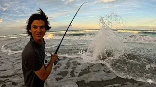 Who is the WINNER? | Florida Beach Fishing Tournament