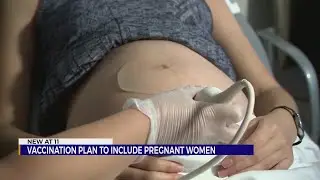 TDH makes changes to COVID-19 Vaccination Plan: Pregnant women moved to phase 1c