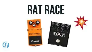 Boss DS-1W VS Pro Co RAT 2 TONE Comparison (NO Talking) #distortionpedal #guitarpedals #bossds1