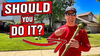 GUARD OR NO TRIMMER GUARD? [ARE YOU RUNNING THE RISK?!]