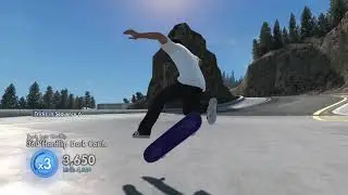 Skate 3 regular infinite popping