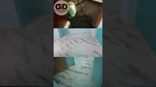 D2D CARES HOME CLEANING || PATNA
