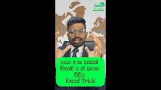 පැය 8 ක  වැඩක් විනාඩි 2න් කරන විදිය -Excel for Everyone in Sinhalen