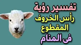 تفسير رؤية رأس الخروف المقطوع فى المنام
