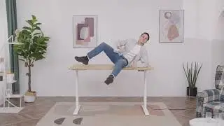 FlexiSpot E8 Standing Desk