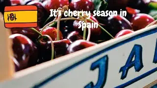 Spanish Caperuchita Tinta Tempranillo wine with Cherries