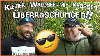 Kleiner Waldsee mit krassen Überraschungen!!