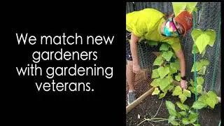 Jewish Volunteer Gardening Brigade