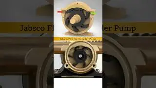 Flexible Impeller Pump - Working 3D Animation 😍✅